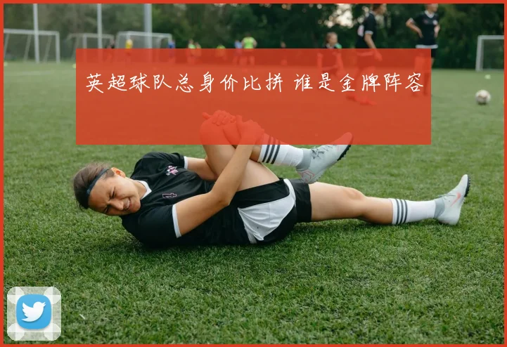 英超球队总身价比拼 谁是金牌阵容